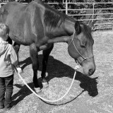 Pferdegestützte Psychotherapie für Kopf und Seele.